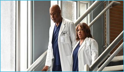 The Incredible Dr. Miranda Bailey: A Journey In Grey's Anatomy