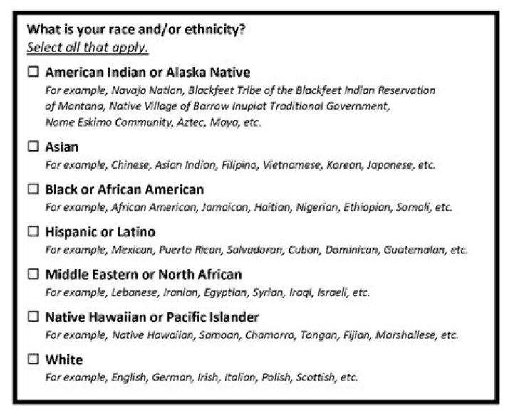 Exploring Ethnicity And Its Impact